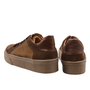 Inusual brown cooper flower