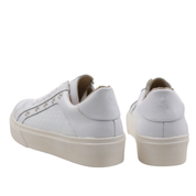 Inusual stella blanca