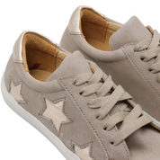 Olie beige gold star