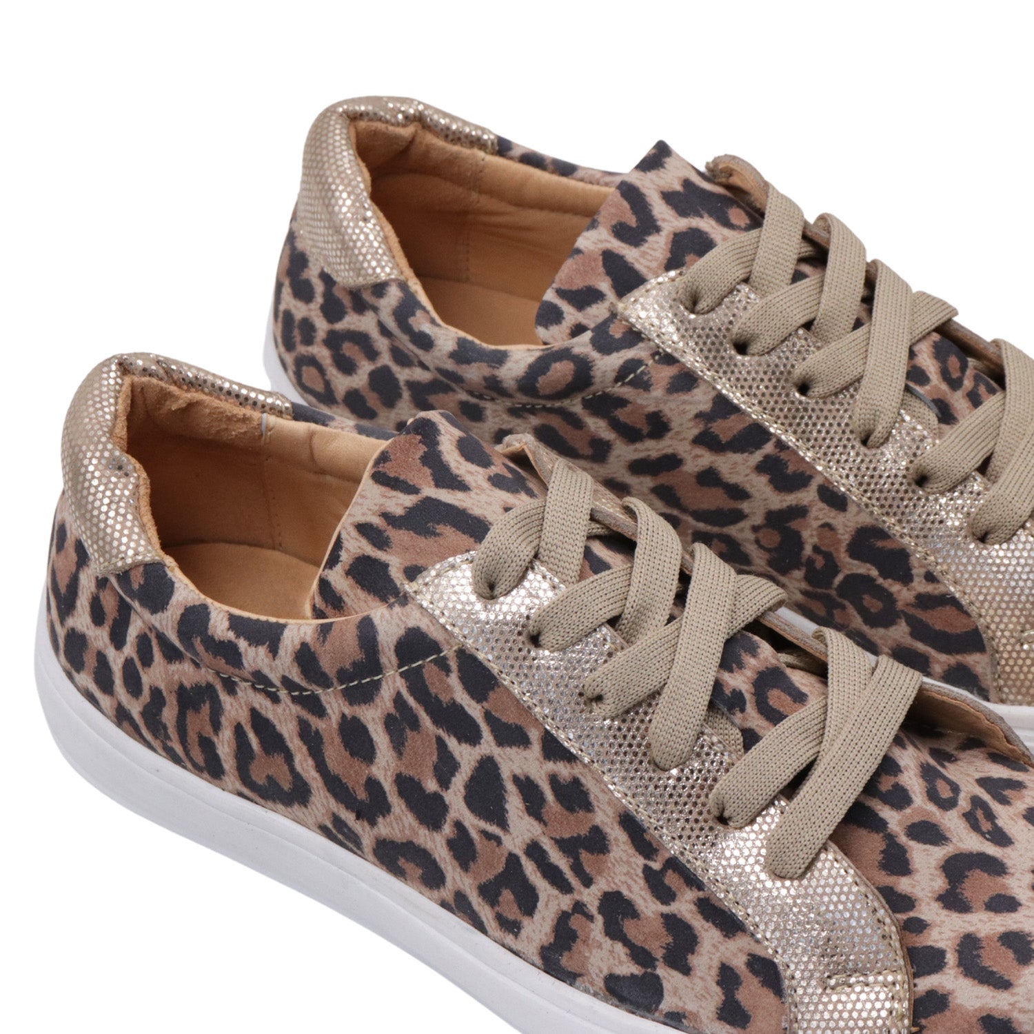 Olie leopard