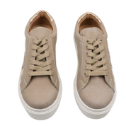 Inusual beige gold star