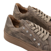 Inusual stella taupe