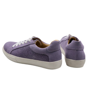 Olie grey point