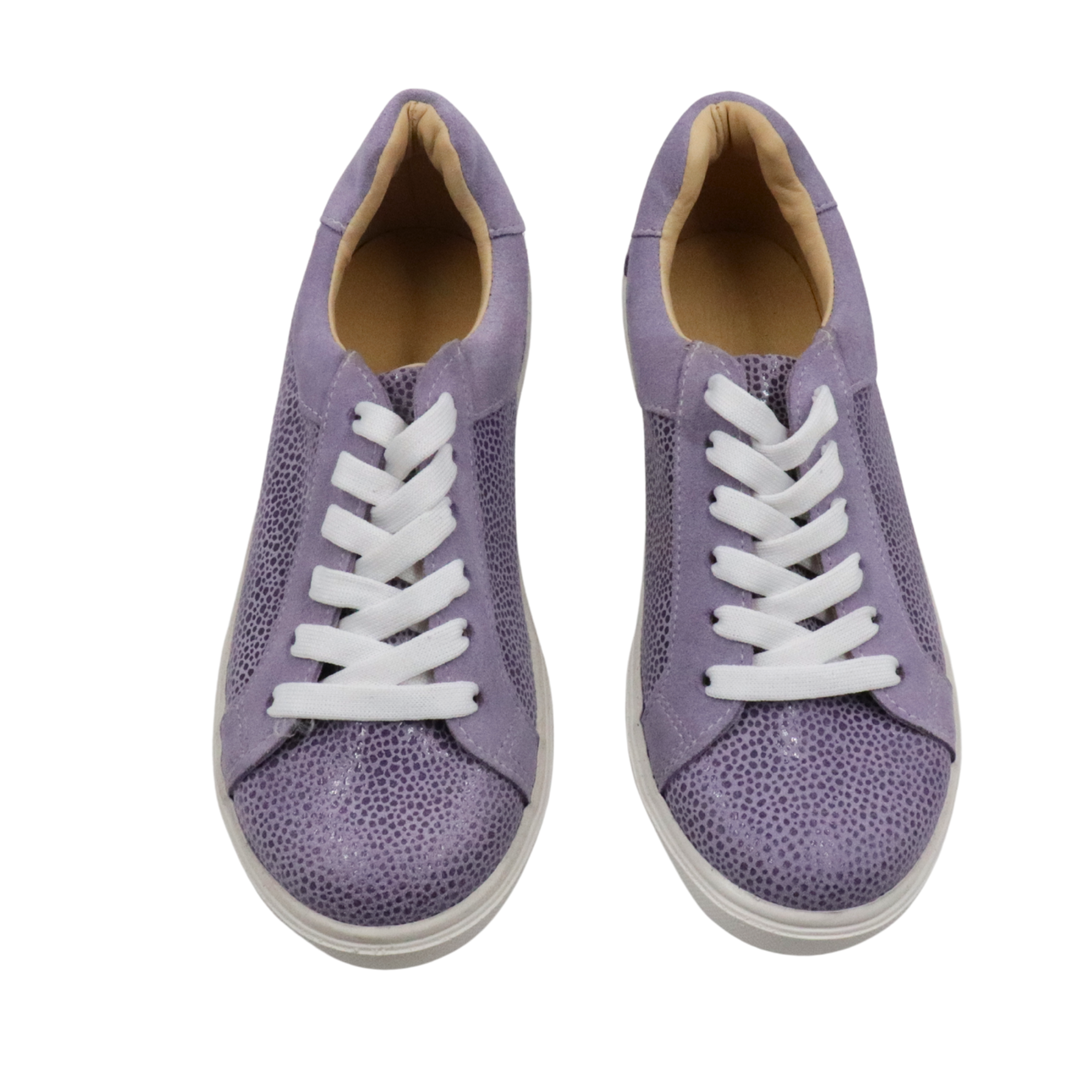 Olie grey point