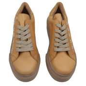 Inusual stella camel