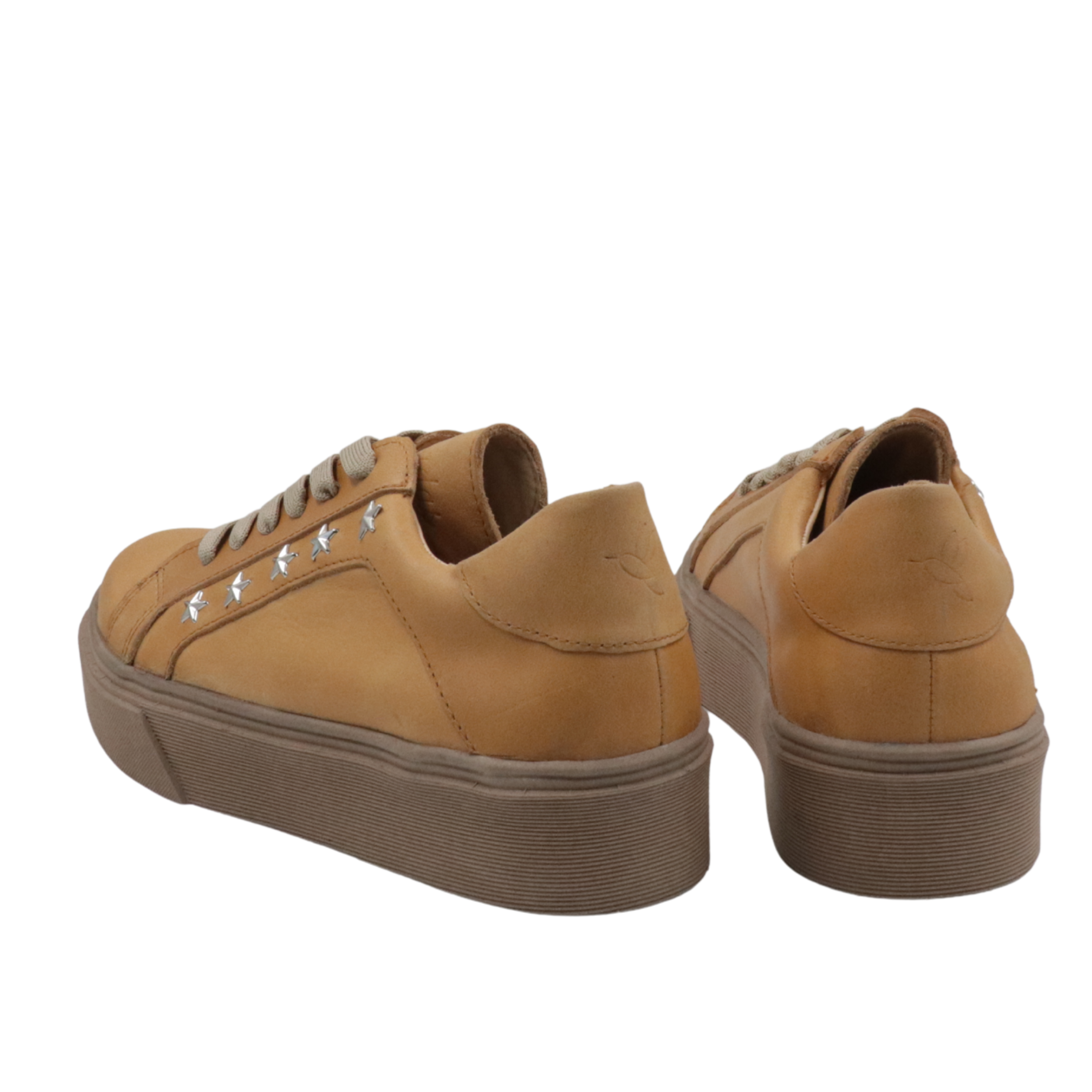 Inusual stella camel