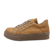 Inusual stella camel