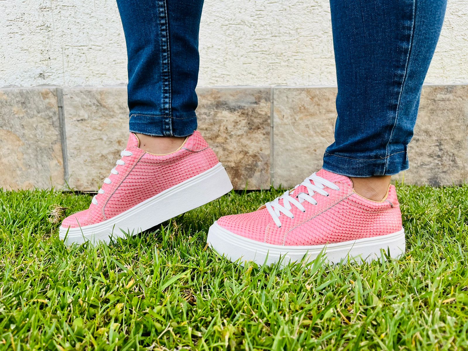 Inusual pink Crocodile